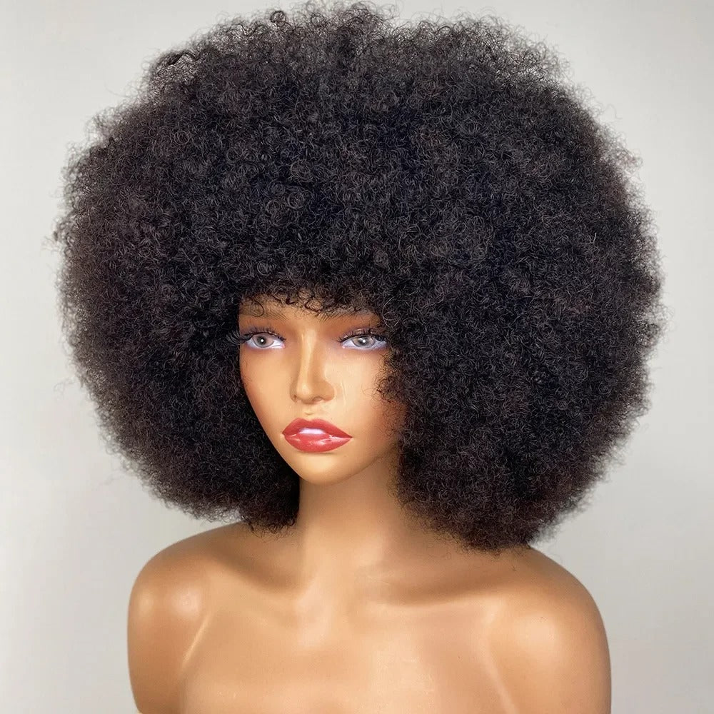 Glueless Afro Kinky Curly Pixie Cut Wig - Short Fluffy Human Hair Wig for Women