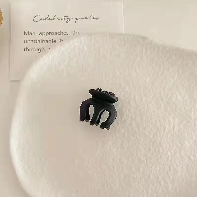 Shark Clip | High-End Women's Hair Coil Clip | Summer Updo Headdress