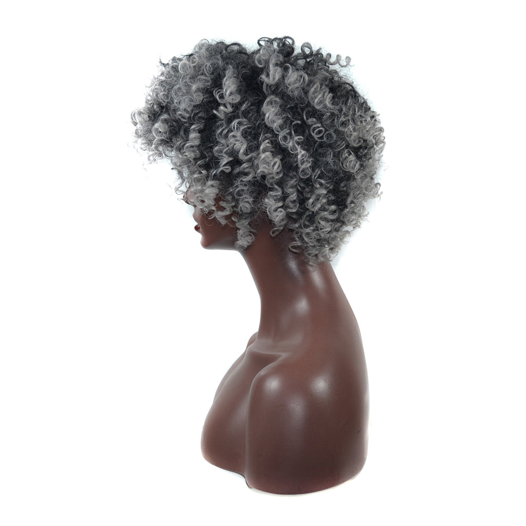 Short Curly Wig with Gradient Color - Fluffy Ombre Synthetic Wig for Women